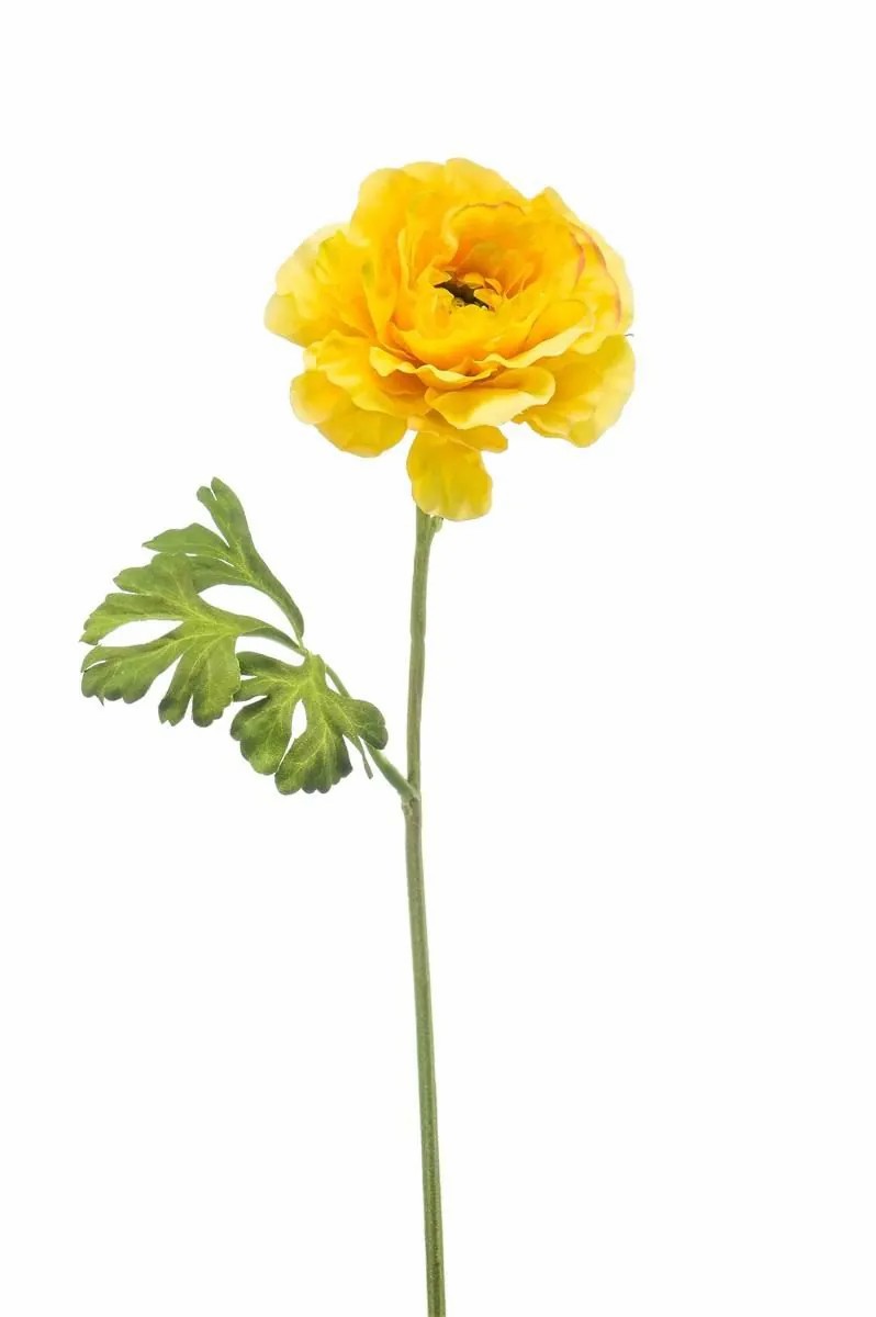 Ranunculus | Artificial Ranunculus Kristy, Yellow, 24"/60Cm Artificial Flowers Ranunculus