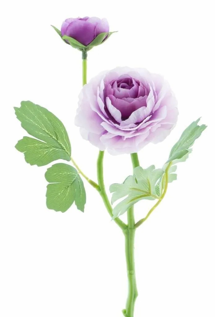 Ranunculus | Artificial Ranunculus Liofa, Purple-White, 14"/35Cm Artificial Flowers Purple