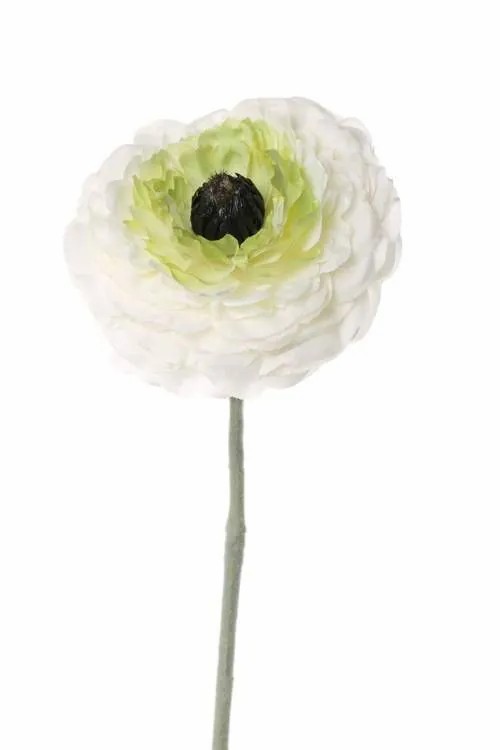 Ranunculus | Fake Ranunculus Alima, Cream-Green, 14"/35Cm, Ø3.1"/8Cm Artificial Flowers Ranunculus