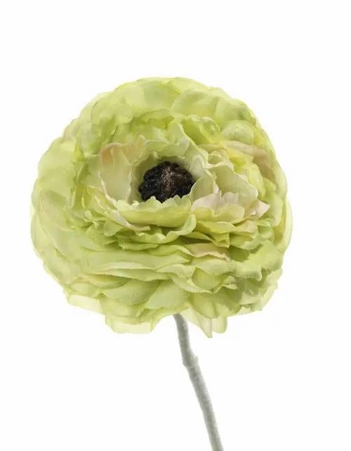 Ranunculus | Fake Ranunculus Alima, Green, 14"/35Cm, Ø3.1"/8Cm Artificial Flowers Green