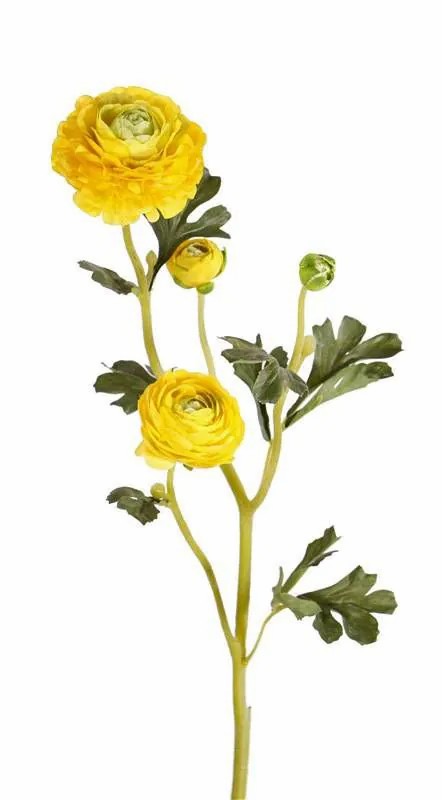 Ranunculus | Fake Ranunculus Flower Noemie, Yellow, 26"/65Cm, Ø1.6"-3.1"/4-8Cm Artificial Flowers Ranunculus