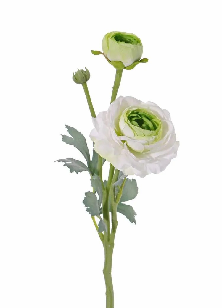 Ranunculus | Fake Ranunculus Yakira, White-Green, 16"/40Cm, Ø1.6"-3.5"/4-9Cm Artificial Flowers Ranunculus