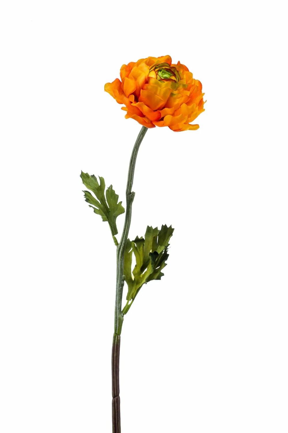 Ranunculus | Faux Flower Ranunculus Elorio, Orange-Green, 20"/50Cm Artificial Flowers Orange