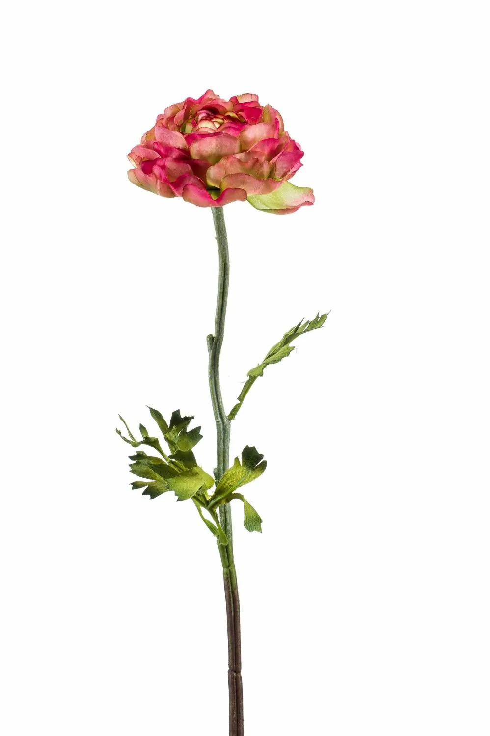 Ranunculus | Faux Flower Ranunculus Elorio, Pink-Green, 20"/50Cm Artificial Flowers Ranunculus