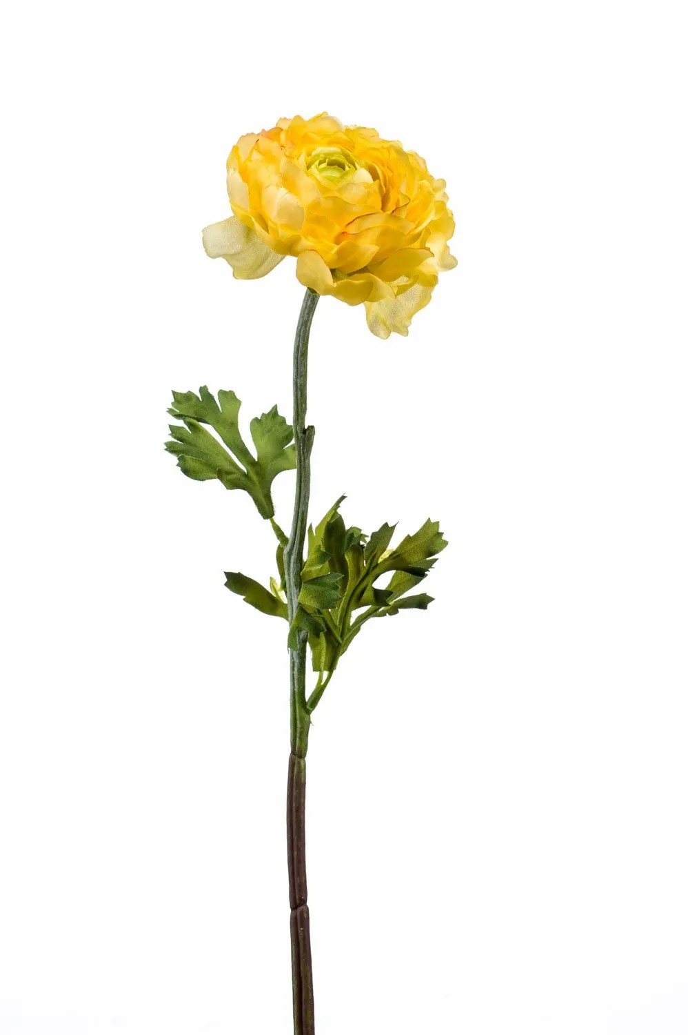 Ranunculus | Faux Flower Ranunculus Elorio, Yellow, 20"/50Cm Artificial Flowers Ranunculus