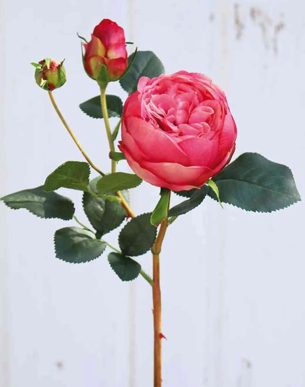 Rose | Artificial Cabbage Rose Miretta, Pink, 24"/60Cm, Ø1.2"-3.5"/3-9Cm Artificial Flowers Rose