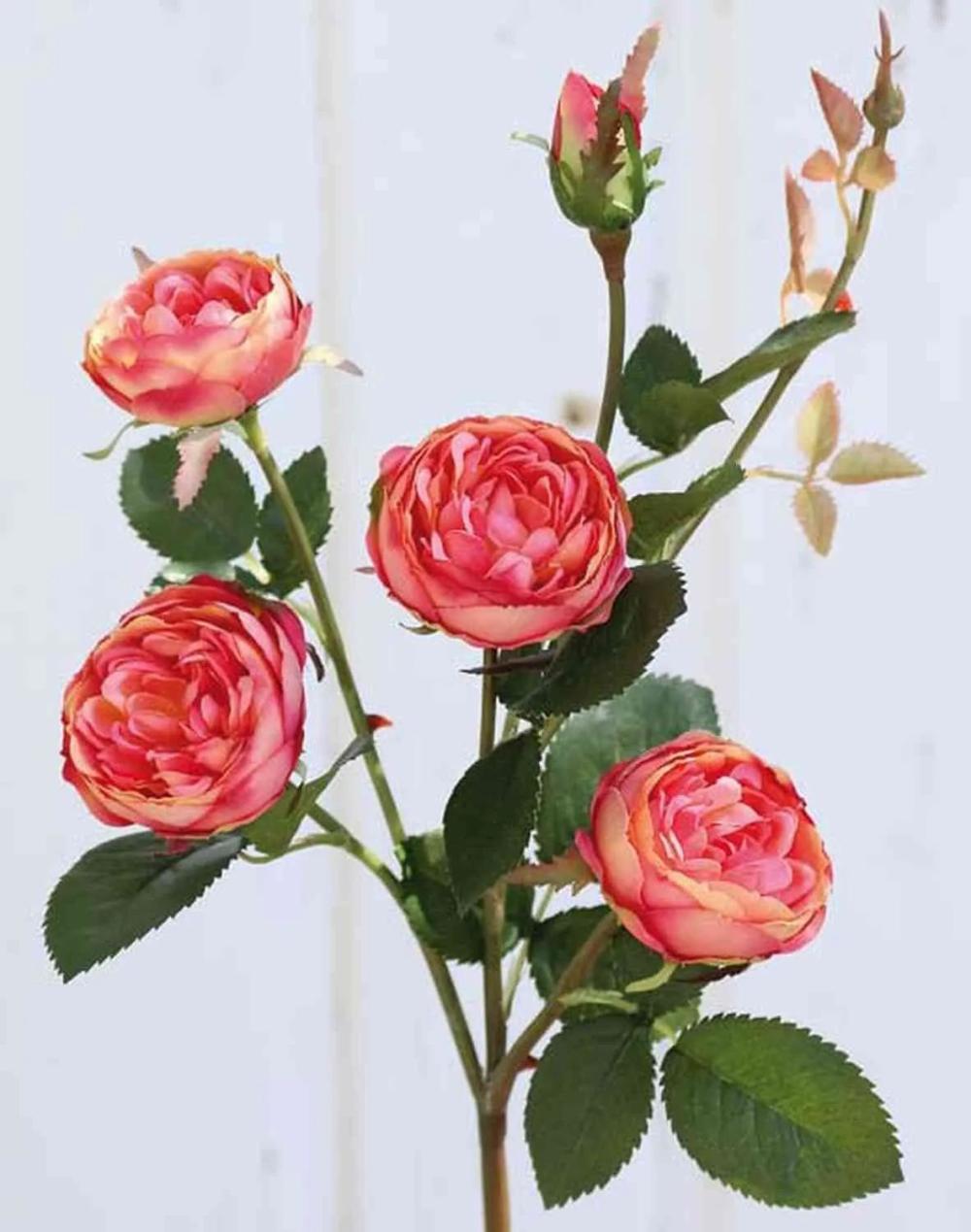 Rose | Artificial Flower Cabbage Rose Sabse, Pink-Apricot, 22"/55Cm, Ø1.6"-2"/4-5Cm Artificial Flowers Rose