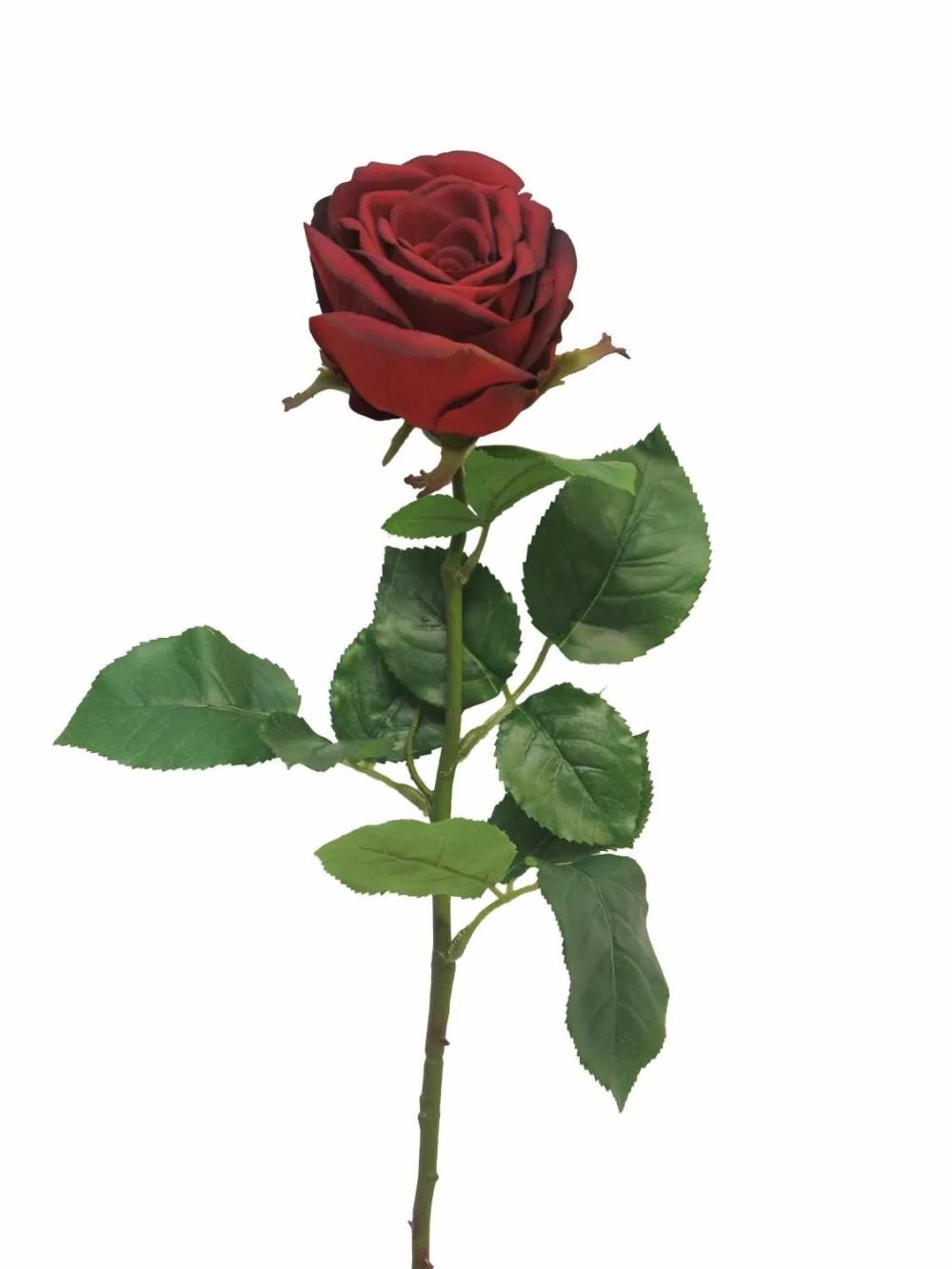 Rose | Artificial Rose Jianhua, Dark Red, 28"/70Cm Artificial Flowers Red