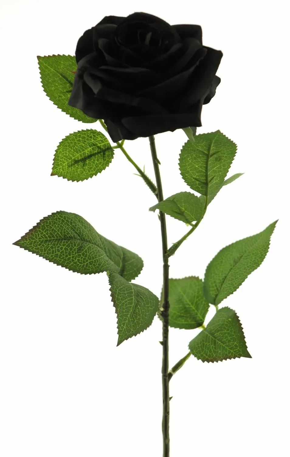 Rose | Artificial Rose Kailin, Black, 26"/65Cm Artificial Flowers Black