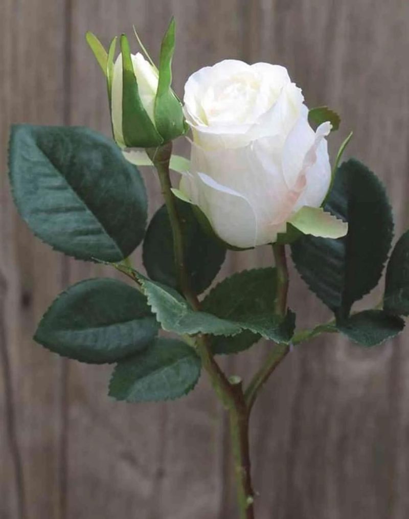 Rose | Artificial Rose Renesmee, White, 18"/45Cm, Ø2.4"/6Cm Artificial Flowers Rose