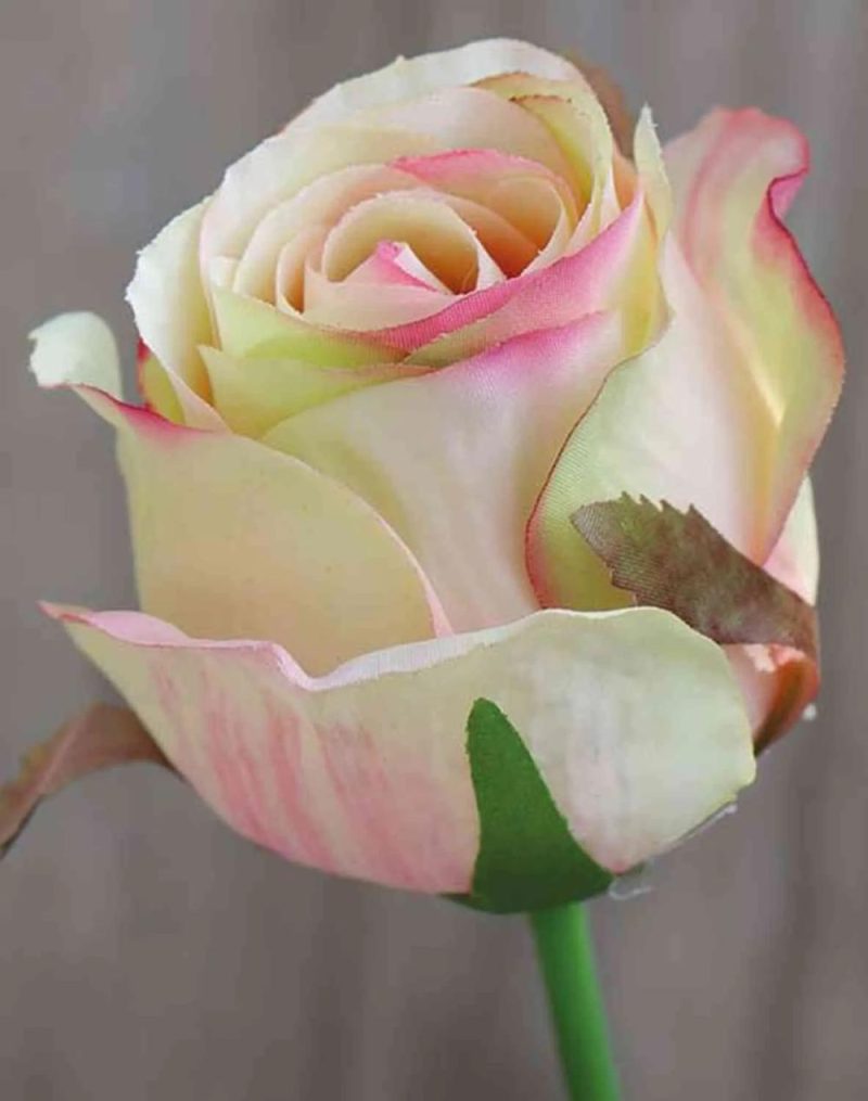 Rose | Artificial Rose Sapina, Yellow-Pink, 24"/60Cm, Ø2.4"/6Cm Artificial Flowers Rose