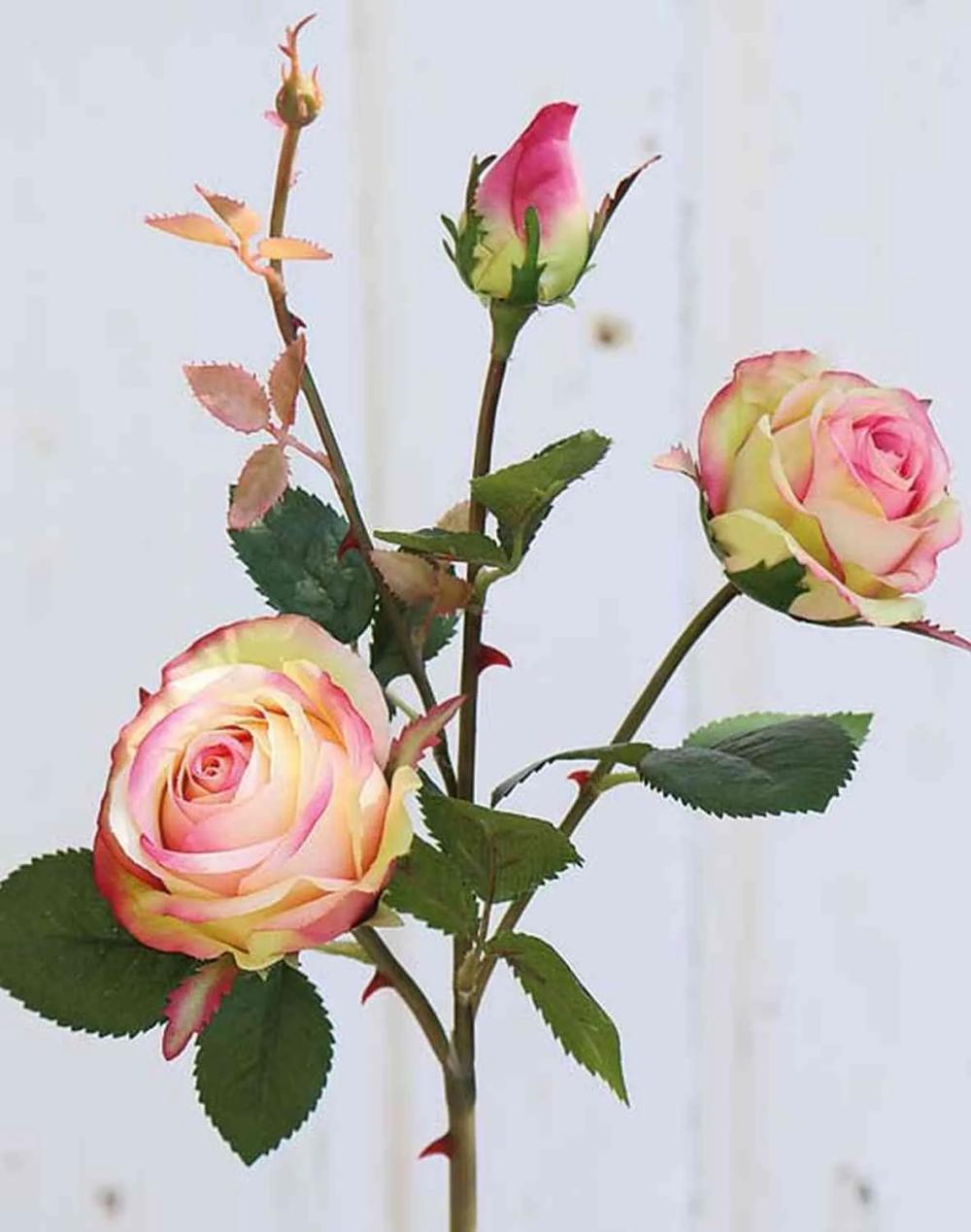 Rose | Fake Rose Delilah, Pink-Green, 22"/55Cm, Ø2.4"/6Cm Artificial Flowers Rose