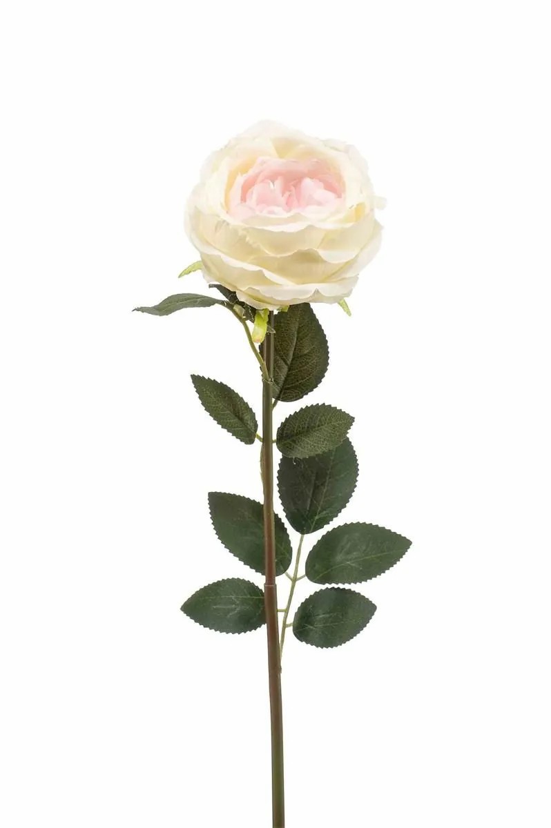 Rose | False Rose Thyri, Cream-Pink, 26"/65Cm Artificial Flowers Rose