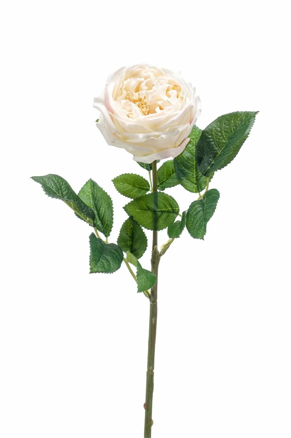 Rose | Silk Flower Cabbage Rose Catinca, Cream, 24"/60 Cm Artificial Flowers Rose