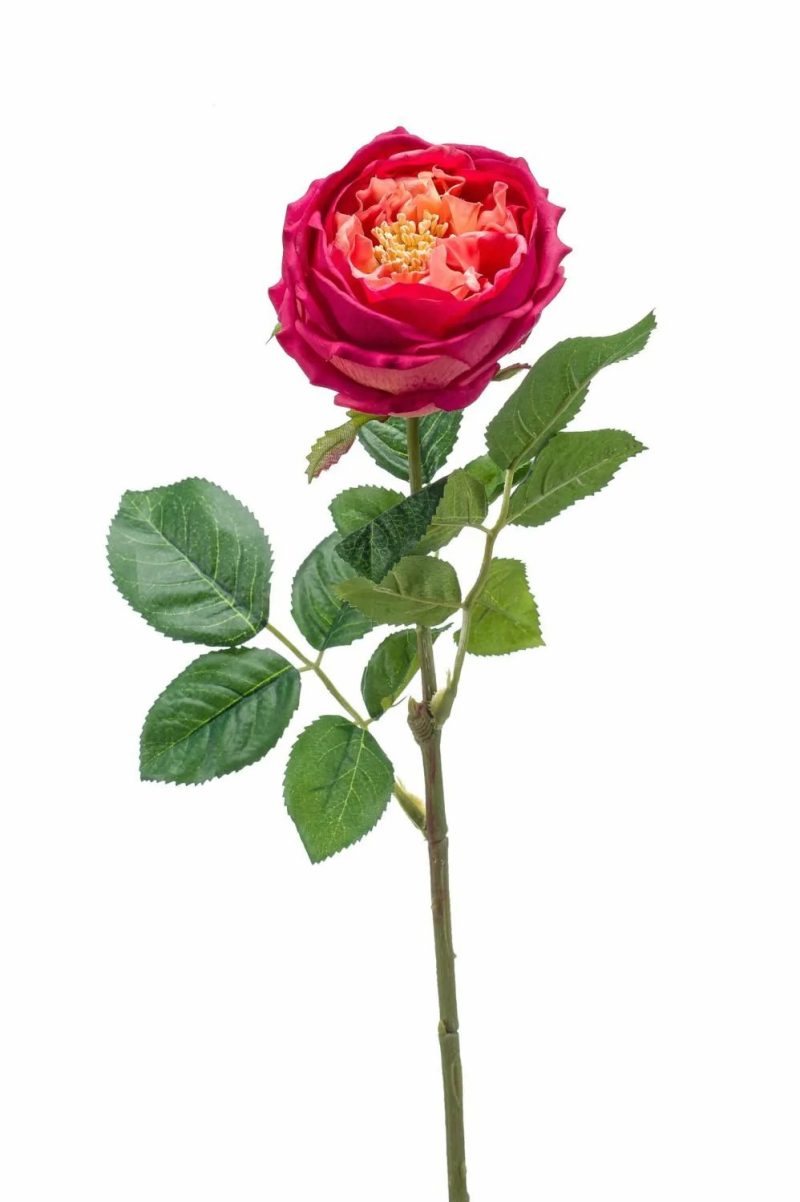 Rose | Silk Flower Cabbage Rose Catinca, Fuchsia, 24"/60 Cm Artificial Flowers Rose