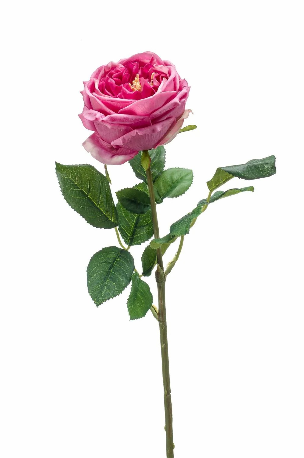 Rose | Silk Flower Cabbage Rose Catinca, Pink, 24"/60 Cm Artificial Flowers Rose