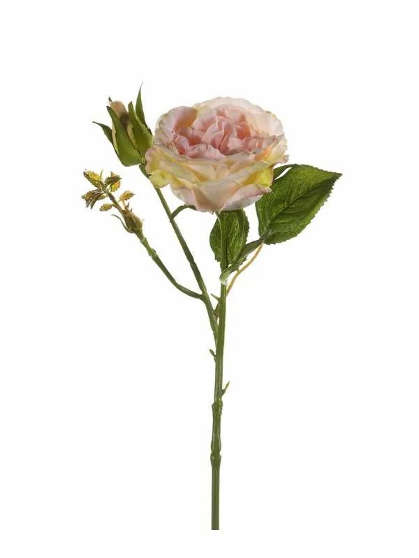 Rose | Silk Rose Cesca, Pink-Yellow, 16"/40Cm Artificial Flowers Rose