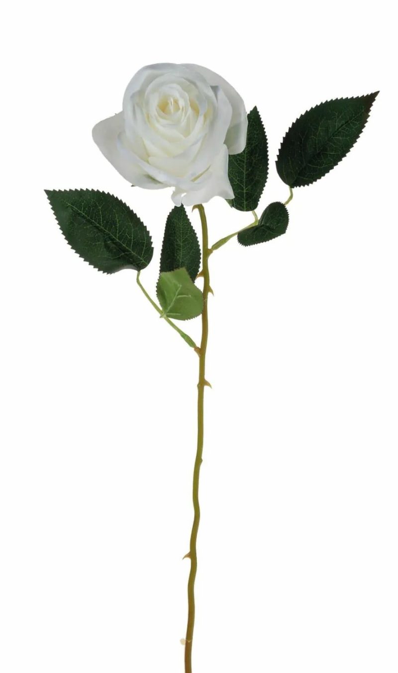 Rose | Silk Rose Seensa, White, 22"/55Cm Ø 2.8"/7Cm Artificial Flowers Rose