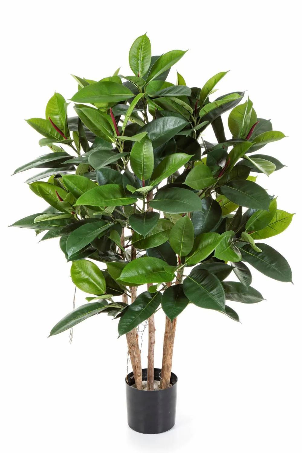 Rubber trees | Artificial Rubber Tree Azzurra, Green, 4Ft/120Cm Artificial Trees Green