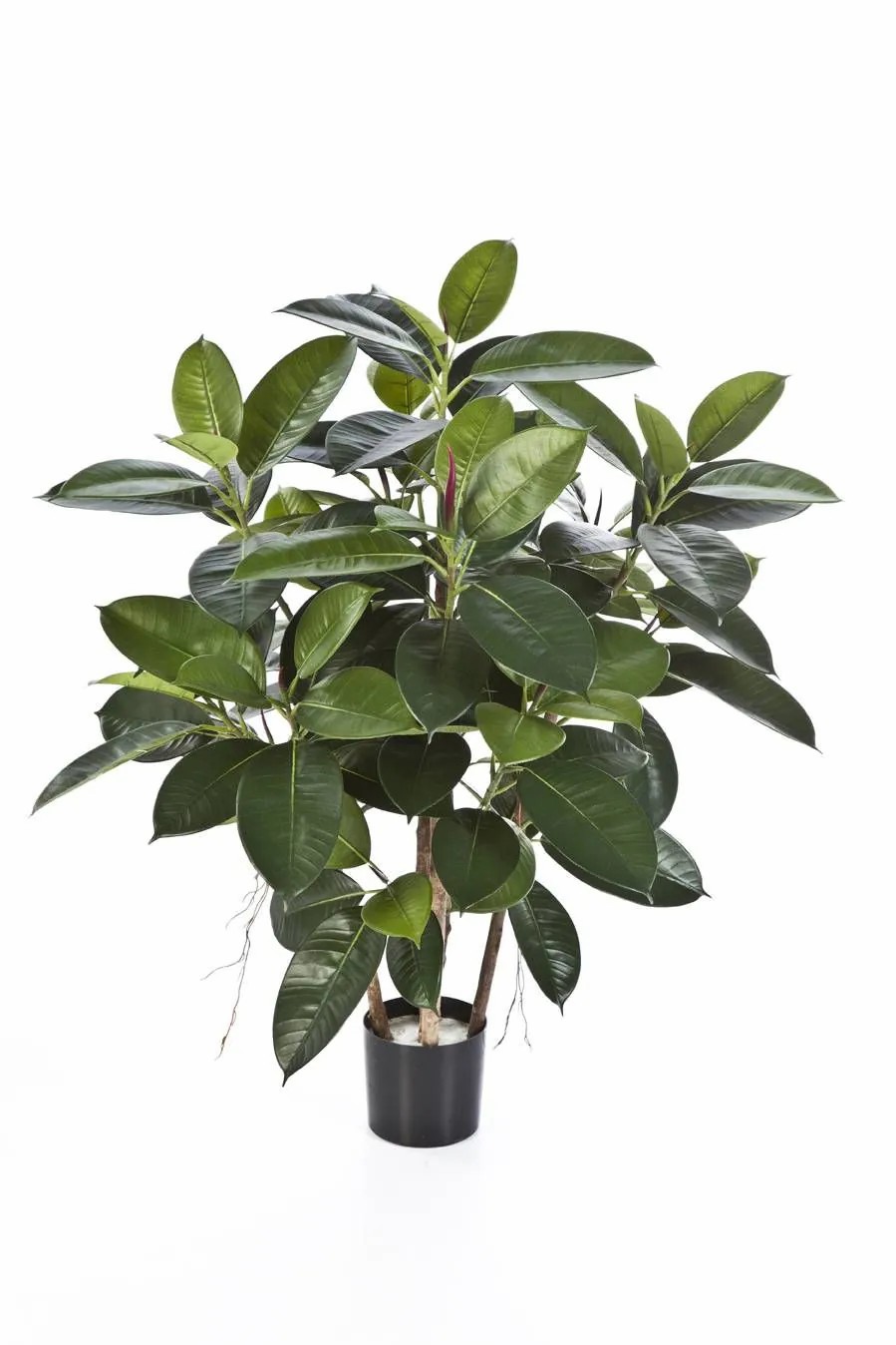 Rubber trees | Artificial Rubber Tree Nova, Real Stems, Green, 3Ft/90Cm Artificial Trees Green