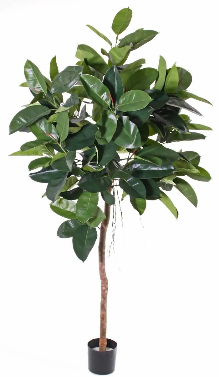 Rubber trees | Fake Rubber Tree Amrei, Natural Trunk, Green, 5Ft/150Cm Artificial Trees Green