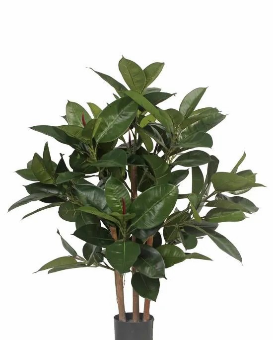 Rubber trees | Fake Rubber Tree Kayden, Natural Trunks, Green, 31"/80Cm Artificial Trees Green