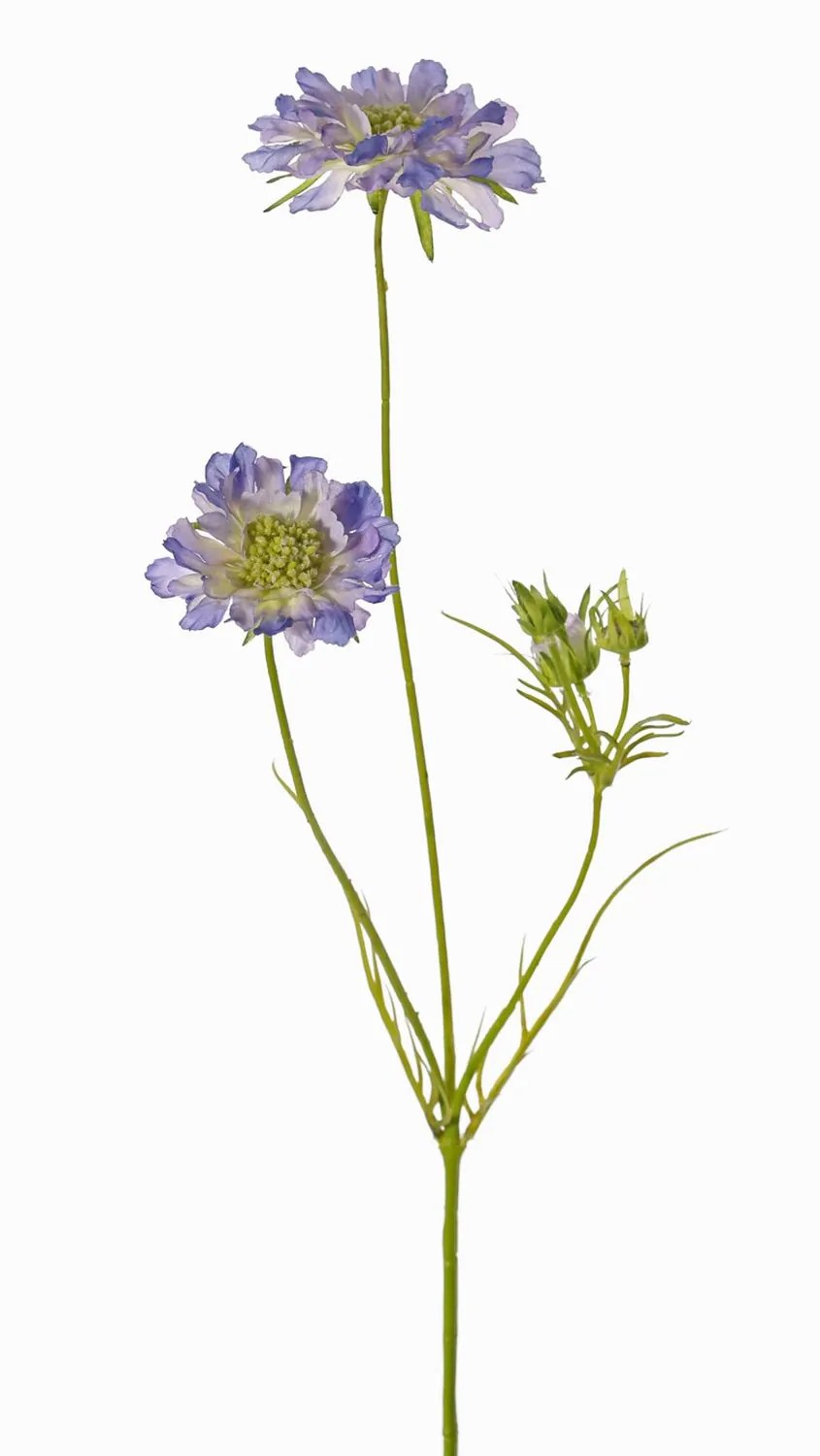 Scabiosa | Artificial Scabiosa Andia, Blue-Purple, 31"/80Cm, Ø3.1"-4"/8-10Cm Artificial Flowers Blue