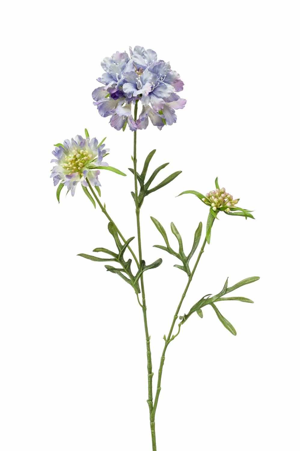 Scabiosa | Silk Flower Scabiosa Montie, Purple-Blue, 30"/75Cm Artificial Flowers Purple