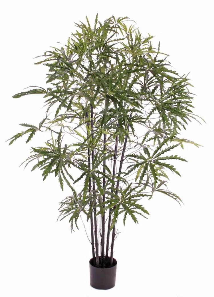 Schefflera | Artificial Aralia Carlie, Fake Trunks, Green, 5Ft/150Cm Artificial Plants Green