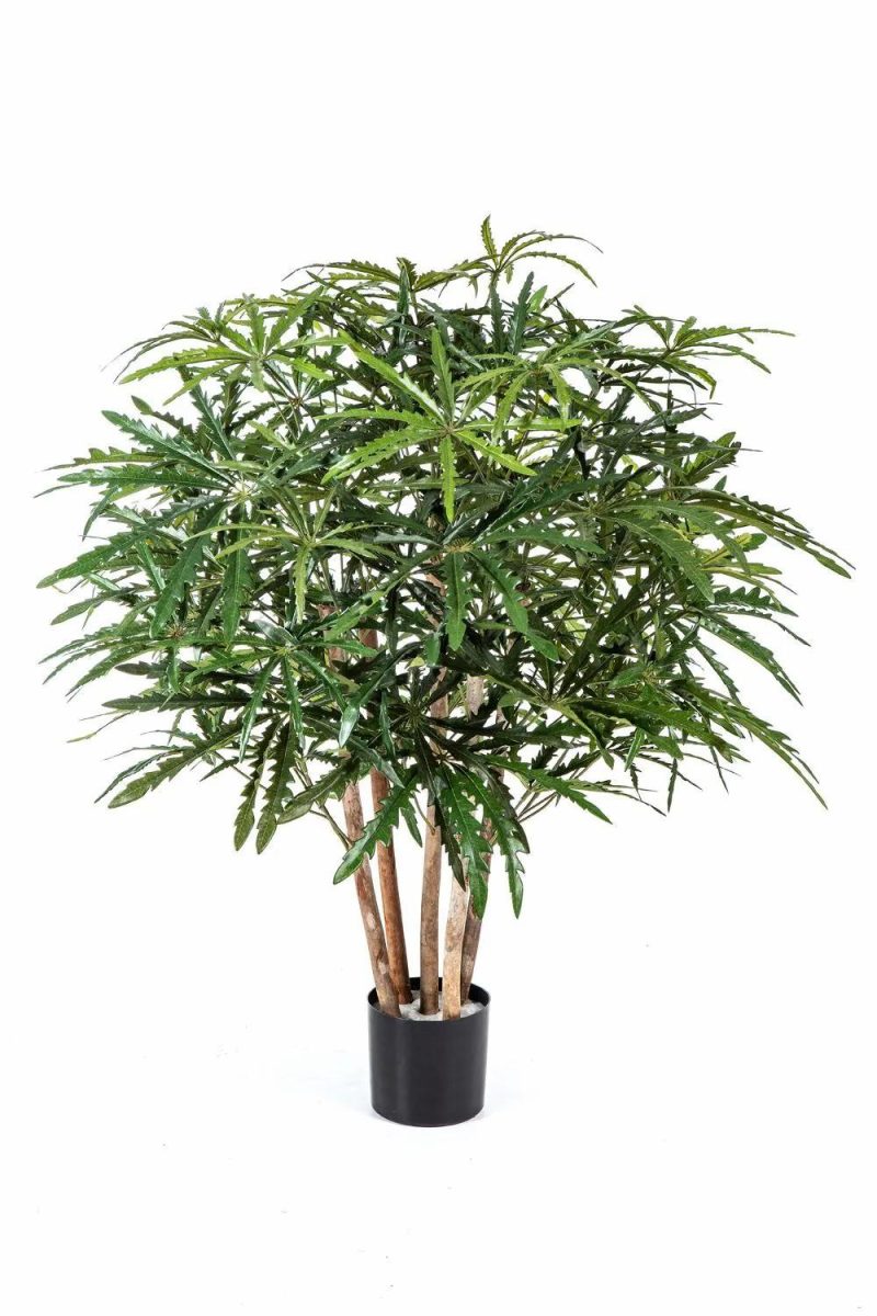 Schefflera | Artificial Aralia Makasim, Real Stems, Green, 33"/85Cm Artificial Plants Green