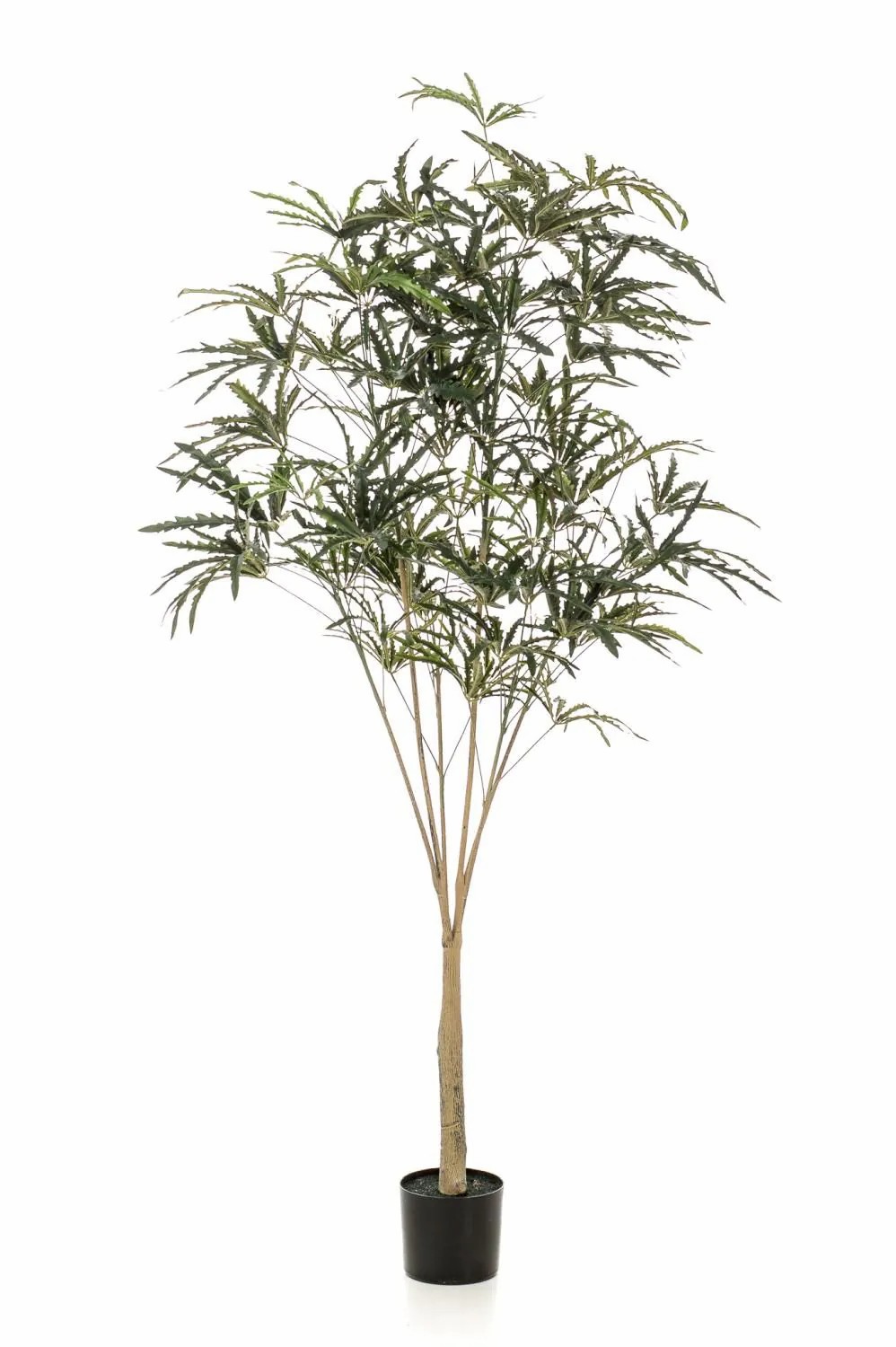 Schefflera | Artificial Finger Aralia Kazuki, Artificial Trunk, Green, 6Ft/195Cm Artificial Plants Green