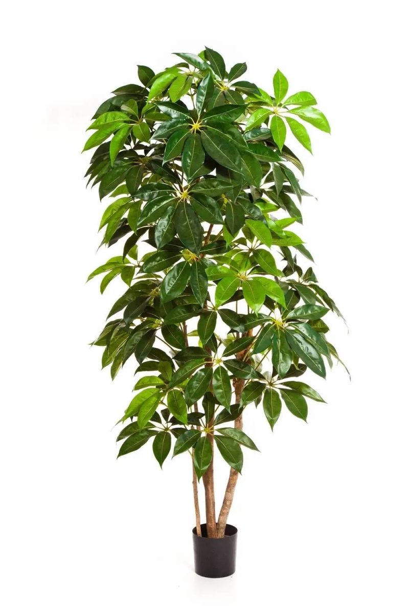 Schefflera | Artificial Schefflera Cooper, Real Stems, Green, 6Ft/190Cm Artificial Trees Green