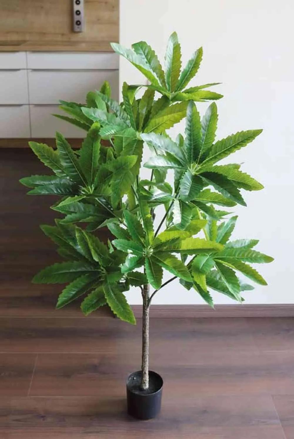 Schefflera | Artificial Schefflera Felinu, Artificial Trunk, Green, 3Ft/100Cm Artificial Trees Green