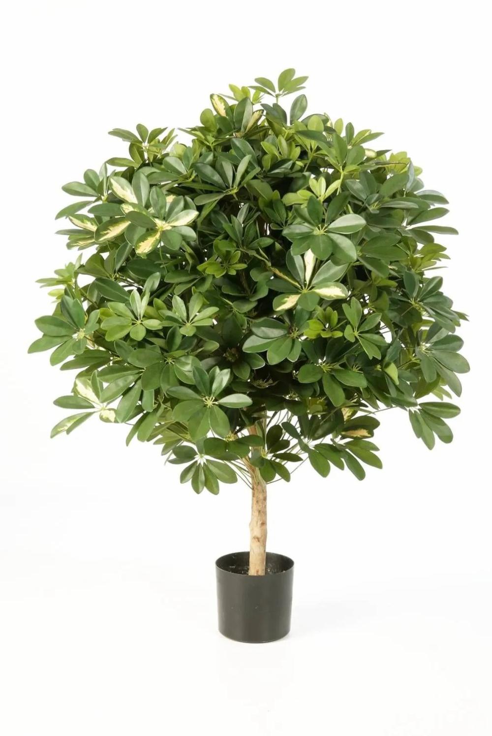 Schefflera | Fake Schefflera Anthony, Natural Stem, Green-White, 4Ft/110Cm, Ø 3Ft/90Cm Artificial Trees Schefflera