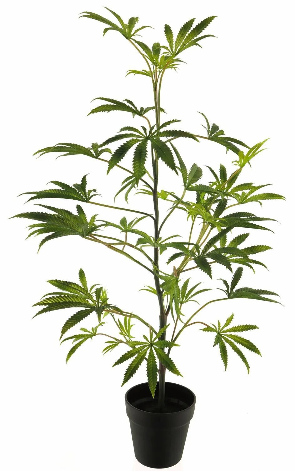 Schefflera | False Aralia Shanrou, Fake Trunk, Decorative Pot, Green, 3Ft/90Cm Artificial Plants Green