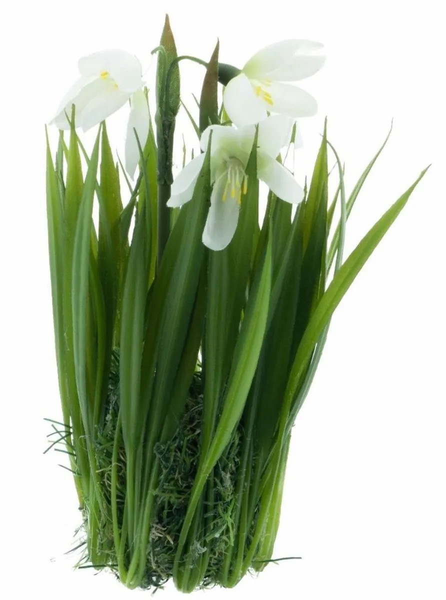 Snowdrops | Artificial Snowdrop Iptero On Grass Ball, White, 7"/17Cm Artificial Flowers Snowdrops