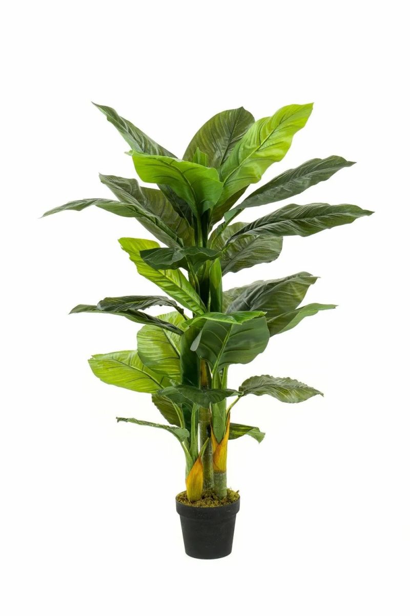 Spathiphyllum | Artificial Peace Lily Siero, Green, 4Ft/130Cm Artificial Plants Green