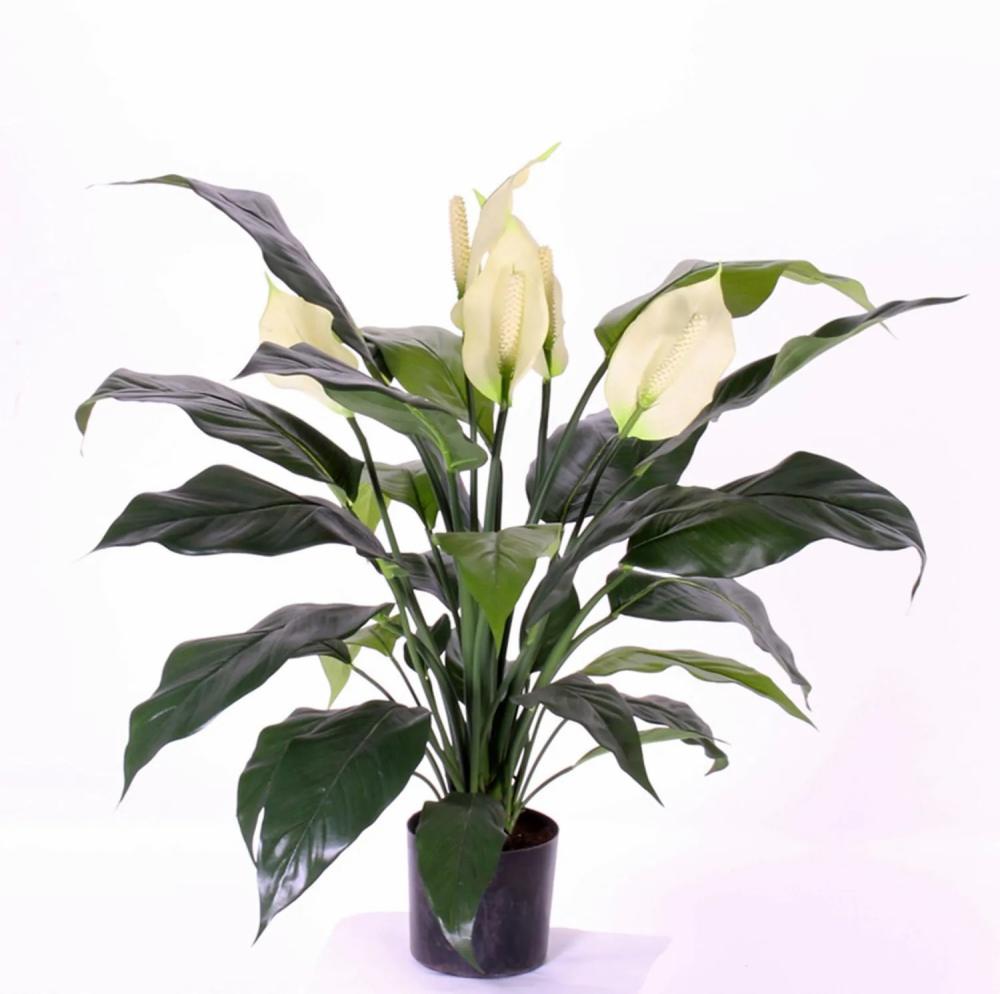 Spathiphyllum | Artificial Spathiphyllum Abby With Flowers, White, 30"/75Cm Artificial Plants Spathiphyllum