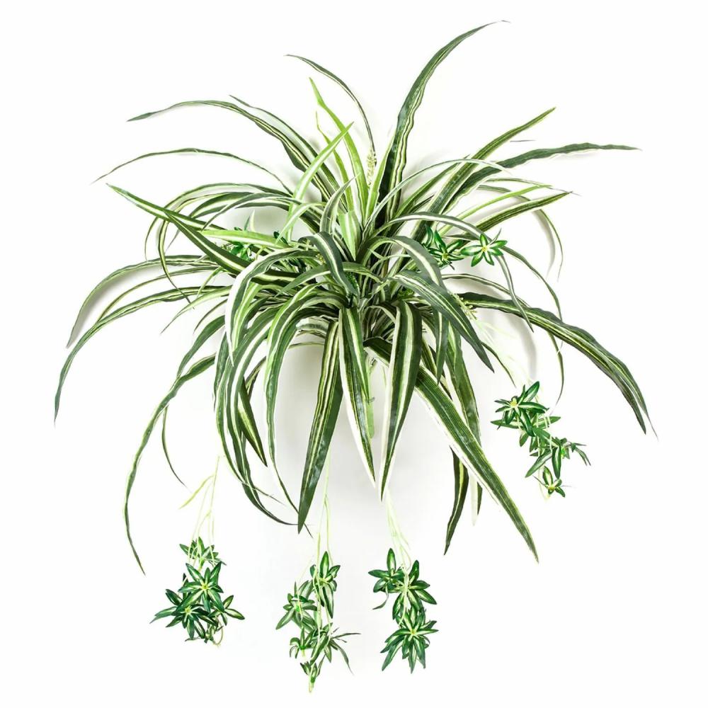 Spider plant | Artificial Spider Plant Kochab, On Spike, Green-White, 24"/60Cm Artificial Plants Green