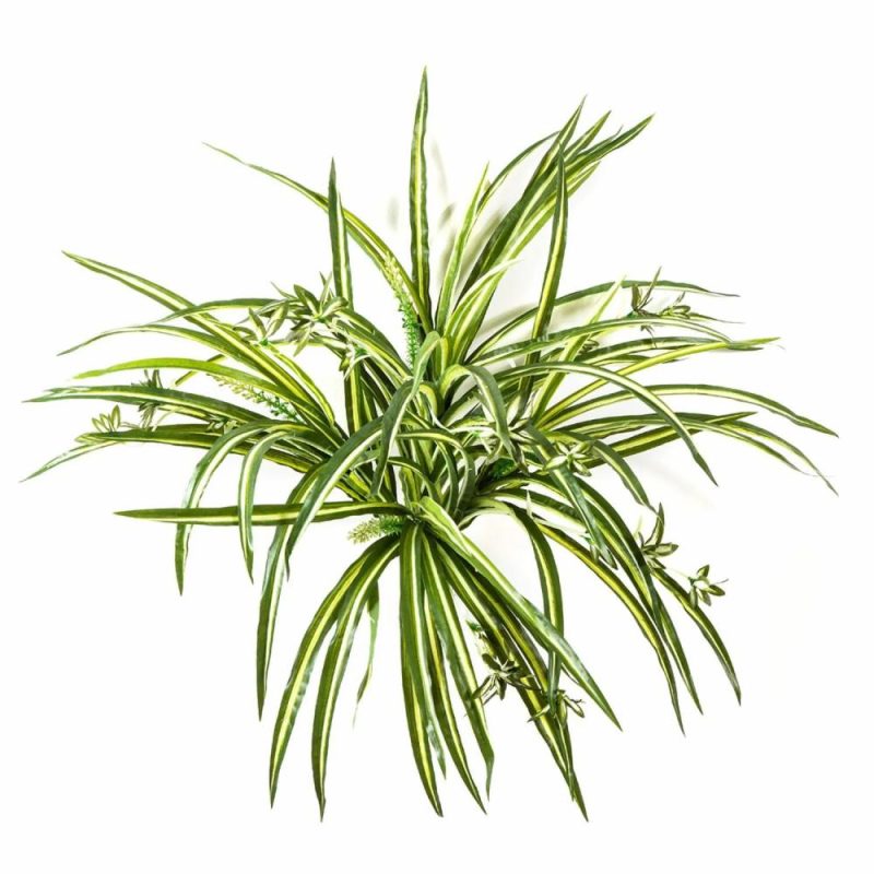 Spider plant | Artificial Spider Plant Kochab, On Spike, Green-Yellow, 22"/55Cm Artificial Plants Green