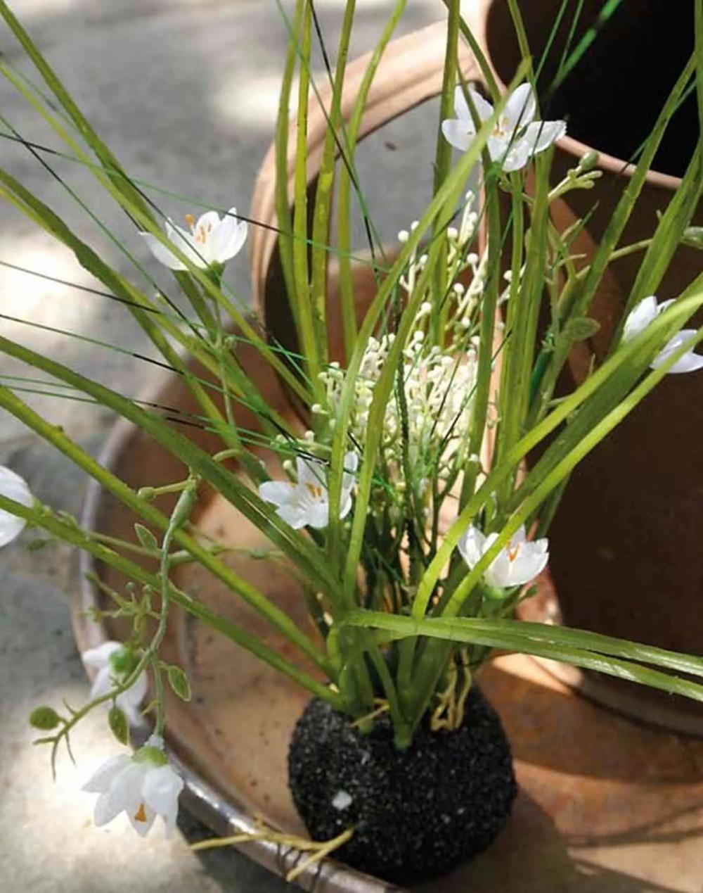 Star of Bethlehem | Artificial Grass Star Of Bethlehem Manfredo, Soil Ball, White, 16"/40Cm Artificial Flowers Star of Bethlehem