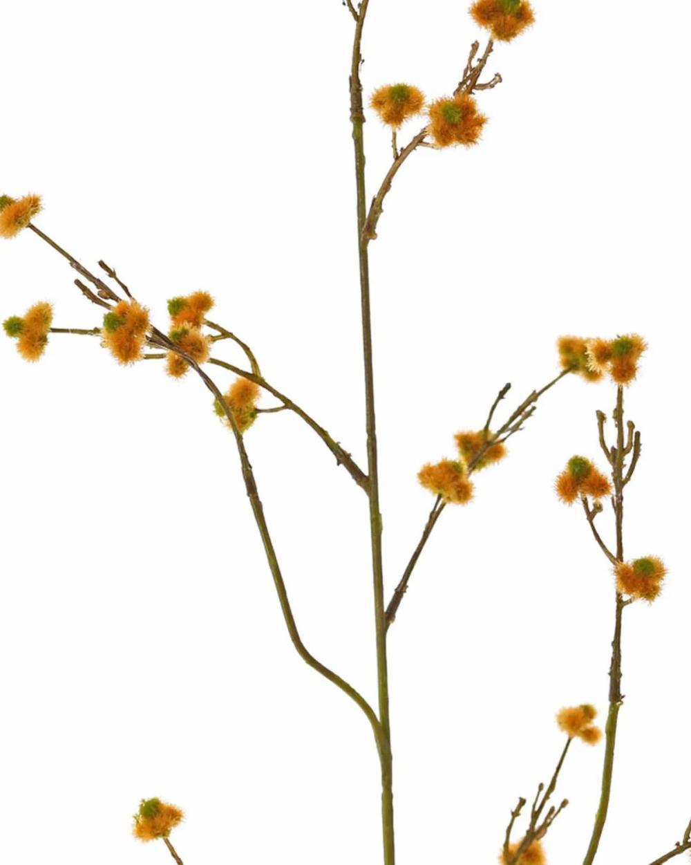 Stirlingia | Artificial Stirlingia Latifolia Collan, Orange, 33"/85Cm Artificial Flowers Orange