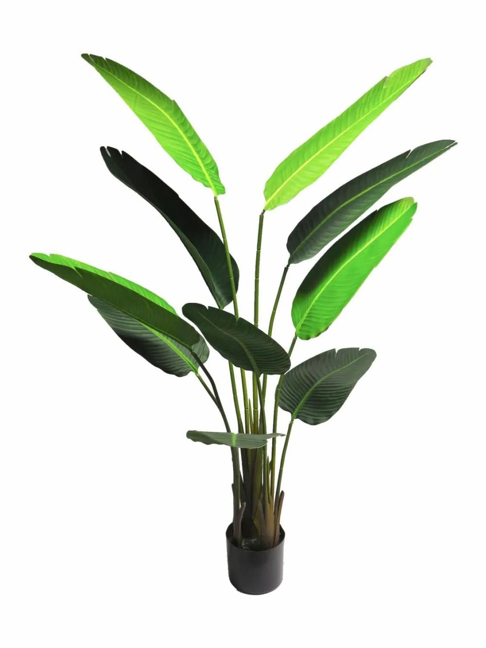 Strelitzia | Artificial Plant Strelitzia Luorou, Green, 5Ft/160Cm Artificial Flowers Green