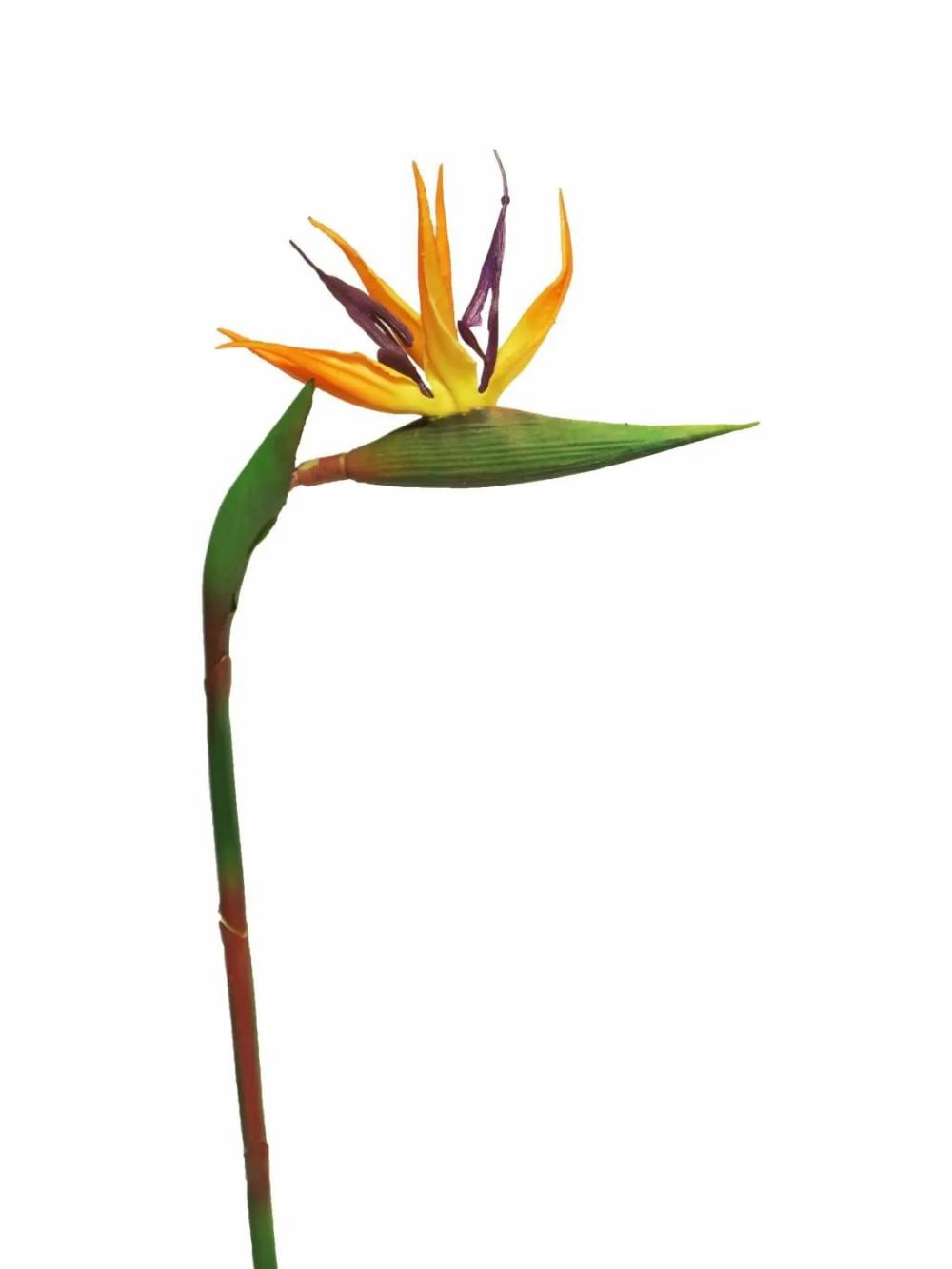 Strelitzia | Artificial Strelitzia Weiyu, Orange-Purple, 24"/60Cm Artificial Flowers Orange