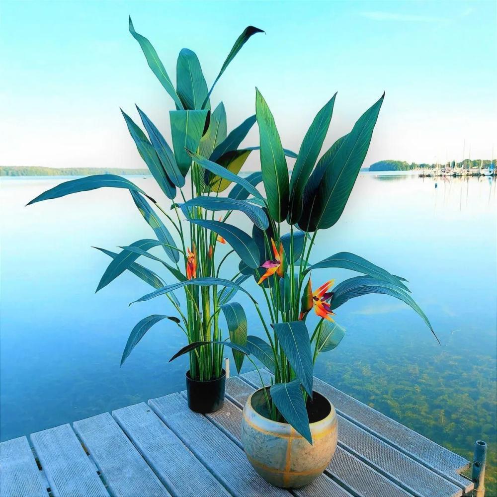 Strelitzia | Decorative Strelitzia Harlyn, Orange-Violet, 5Ft/160Cm Artificial Flowers Orange