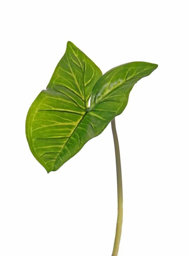 Syngonium | Fake Syngonium Leaf Jordan, Green, 20"/50Cm Artificial Plants Green