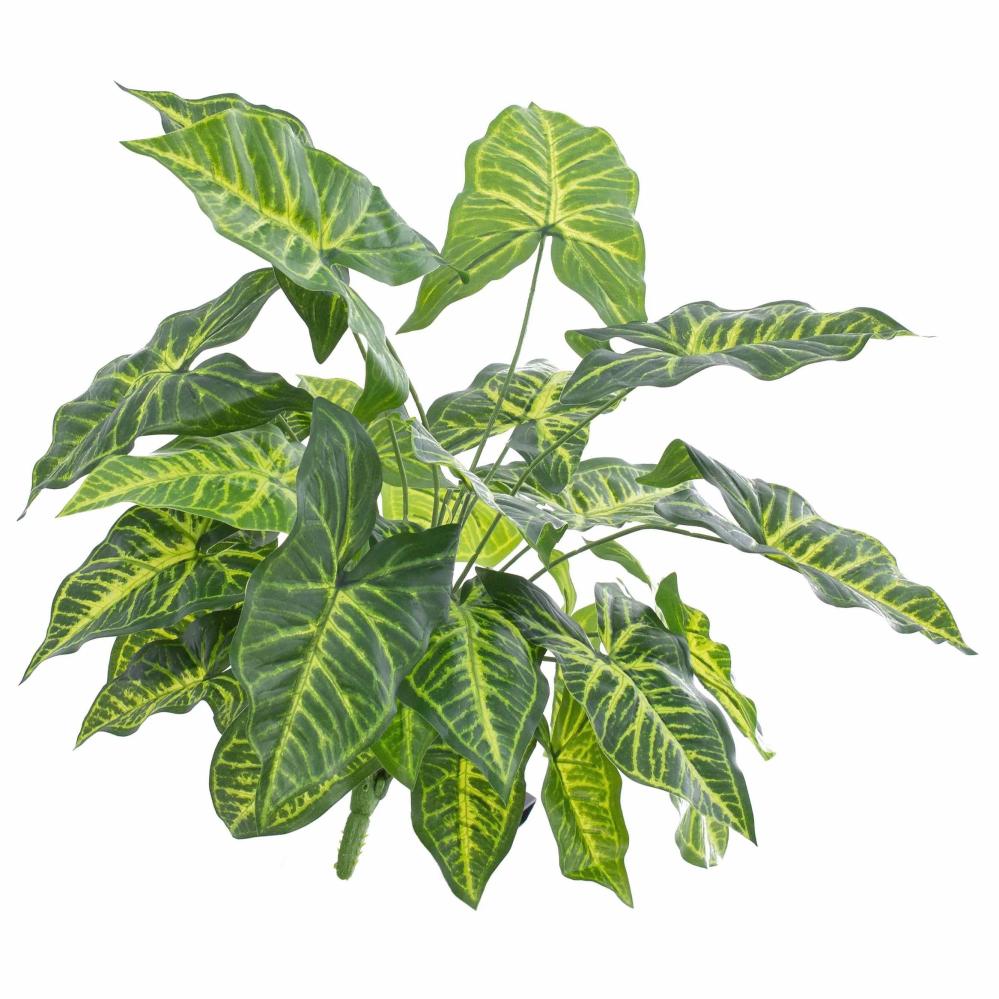 Syngonium | Fake Syngonium Sereno, On Spike, Green, 18"/45Cm Artificial Plants Green