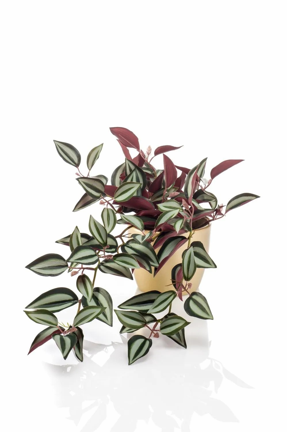 Tradescantia | Artificial Inchplant Mbarka In Ceramic Pot Gold, Green-Red, 16"/40 Cm Artificial Plants Green