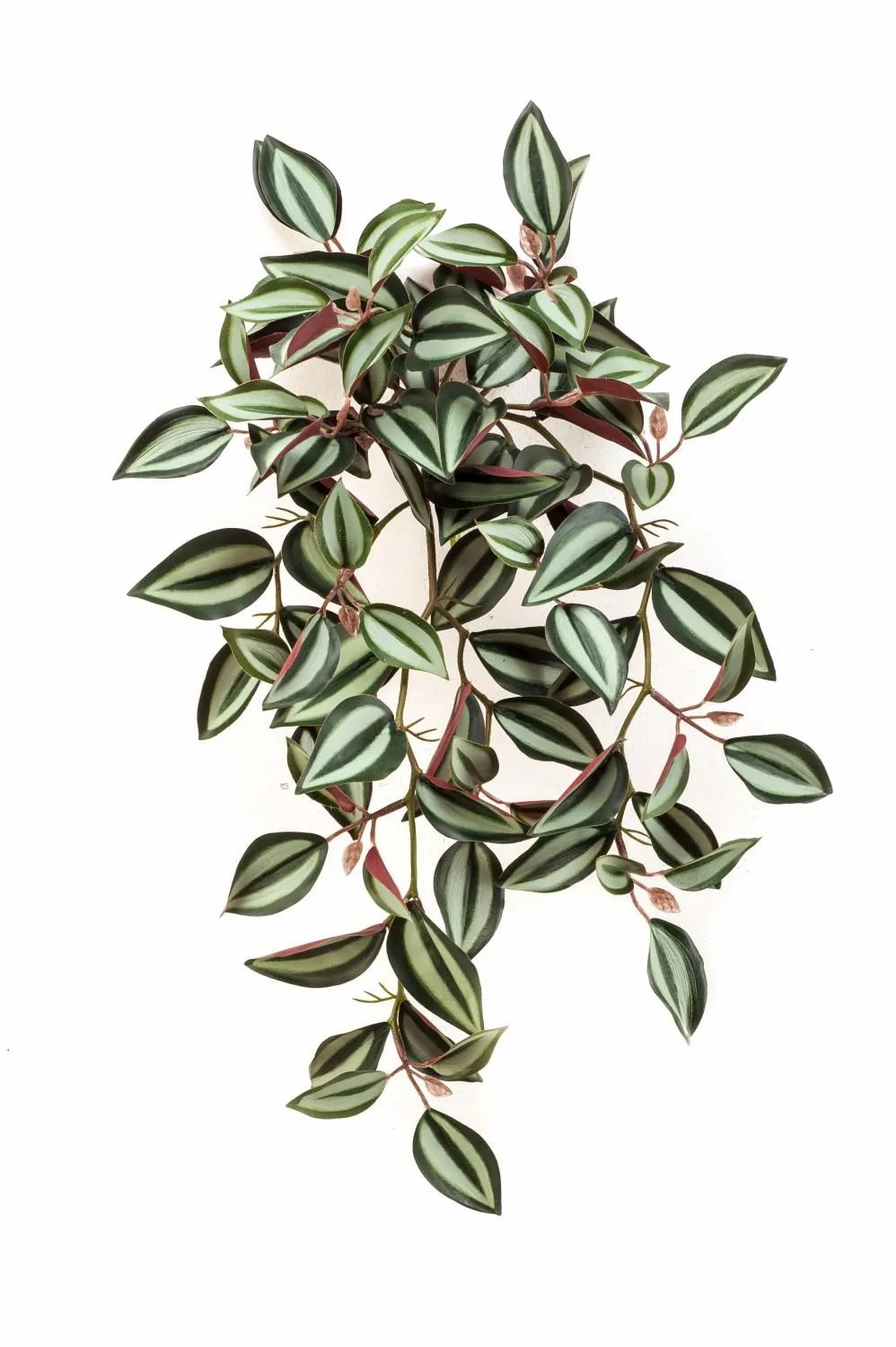 Tradescantia | Artificial Inchplant Mbarka On Stick, Green-Red, 16"/40 Cm Artificial Plants Green