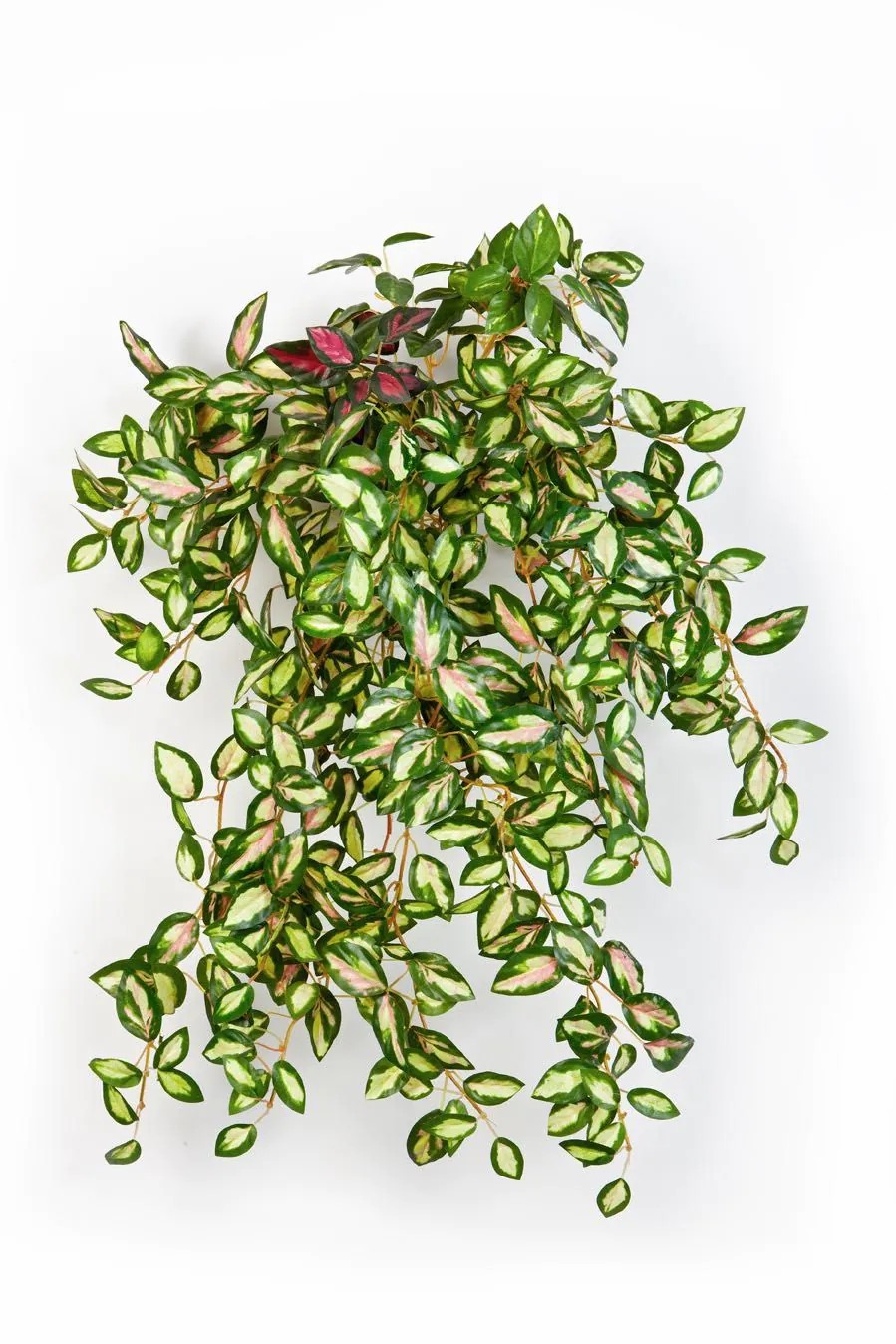 Tradescantia | Artificial Tradescantia Zebrina Katyina, On Spike, Green-Red, 20"/50Cm Artificial Plants Green